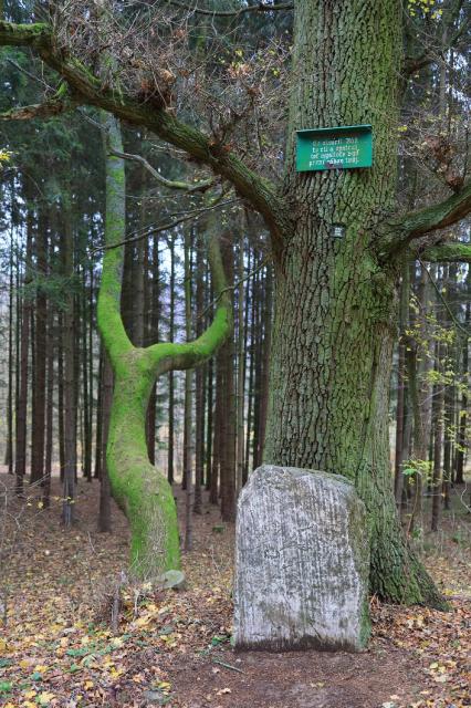 2019-11-16 vylet zelena borac 04